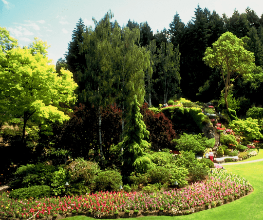 How Can You Find The Right Landscaper In Phoenix?