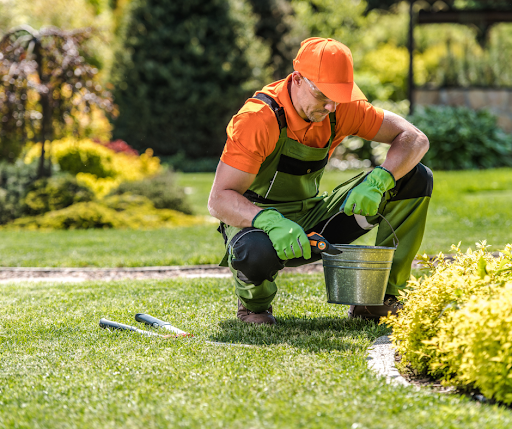 Landscape Maintenance