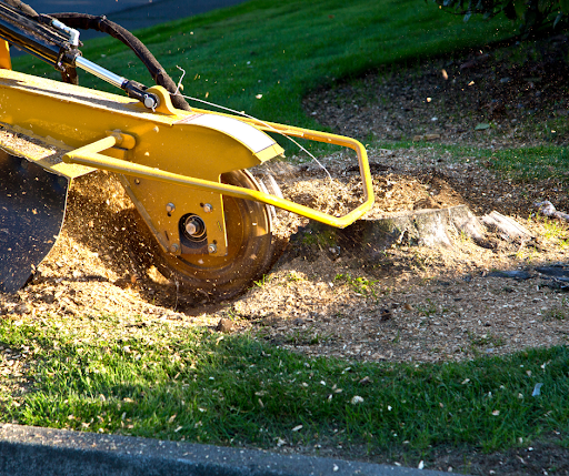 Stump Grinding