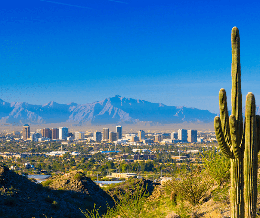 cactus in mountain
