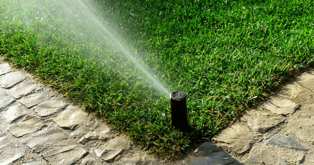 Discount Tree_tree removal Pompano Beach FL_featured image