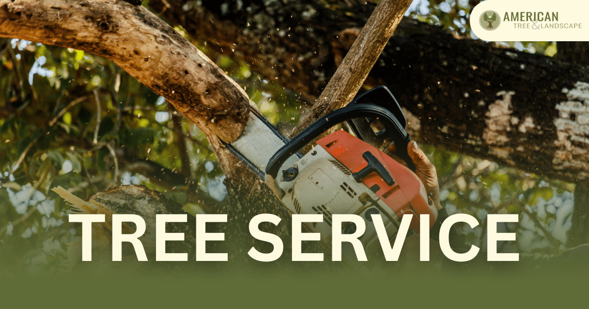 American Tree & Landscape Co work site